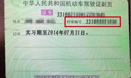 驾驶证号查询_驾驶证号查询违章查询